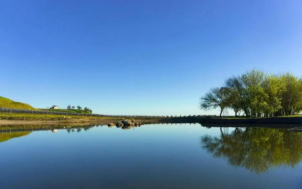 除了会计师还有什么可以考（除了会计还有什么专业比较好）