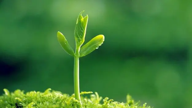 医学专业研究生的报考条件读几年，医学专业研究生的报考条件有哪些