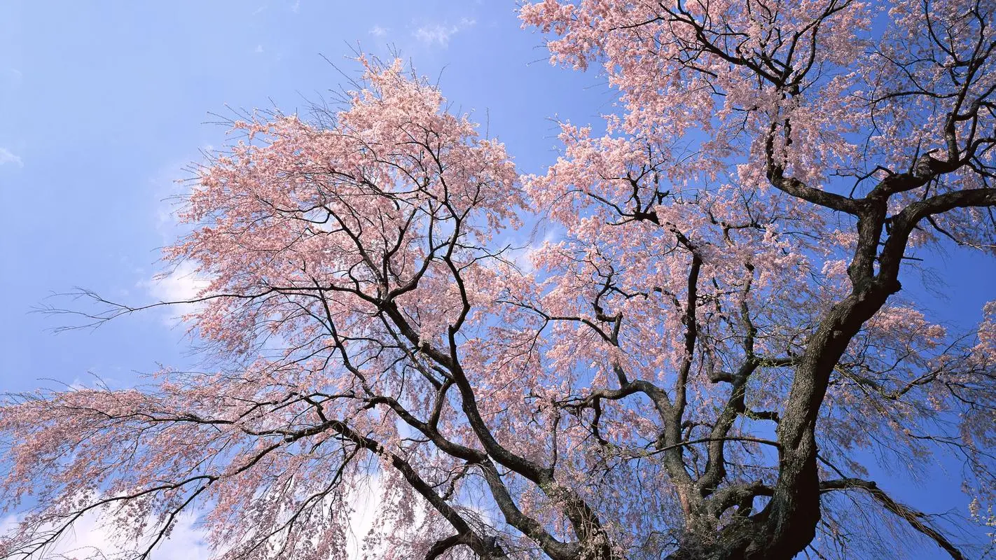 开票信息必须有电话吗（开票信息必须有电话吗怎么改）